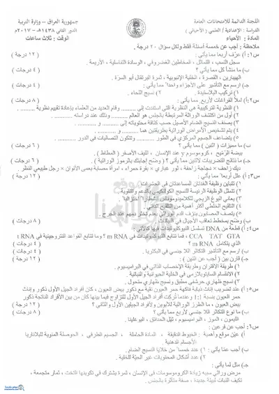 اسئلة واجوبة الاحياء السادس الاحيائي الدور الثاني 2017 [PDF]